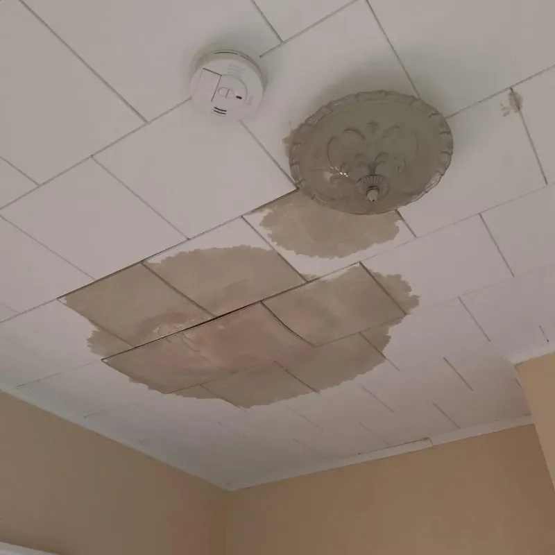 Ceiling Water Damage Repair in Sewanee, TN