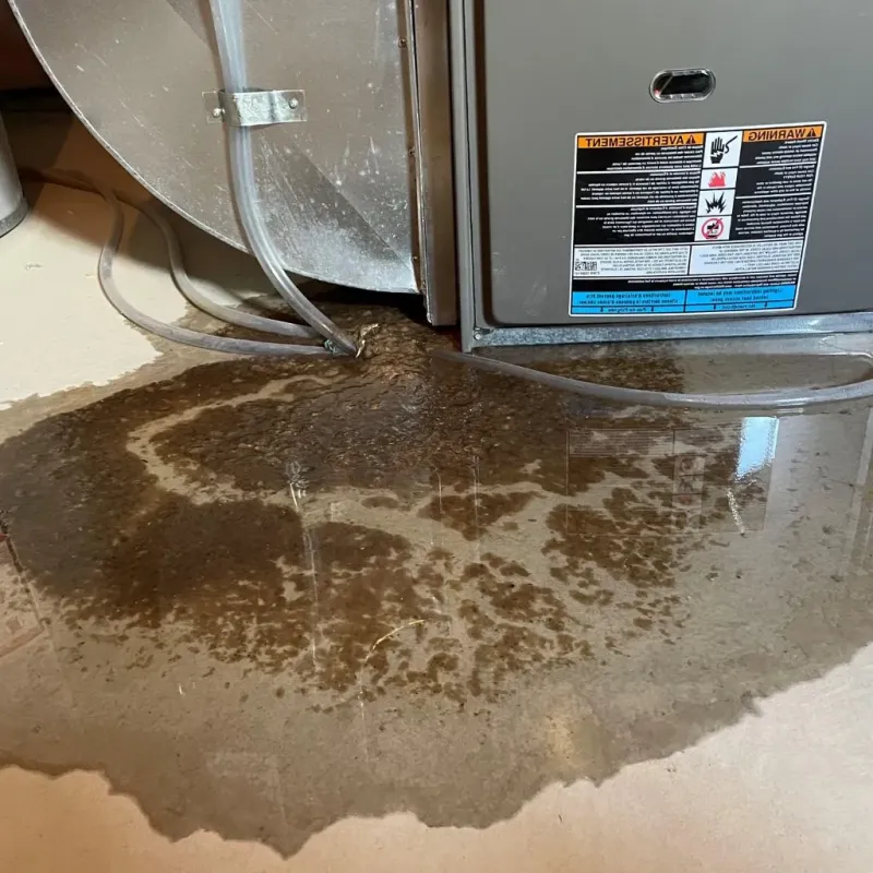 Pipe Burst and Leak Restoration in Sewanee, TN