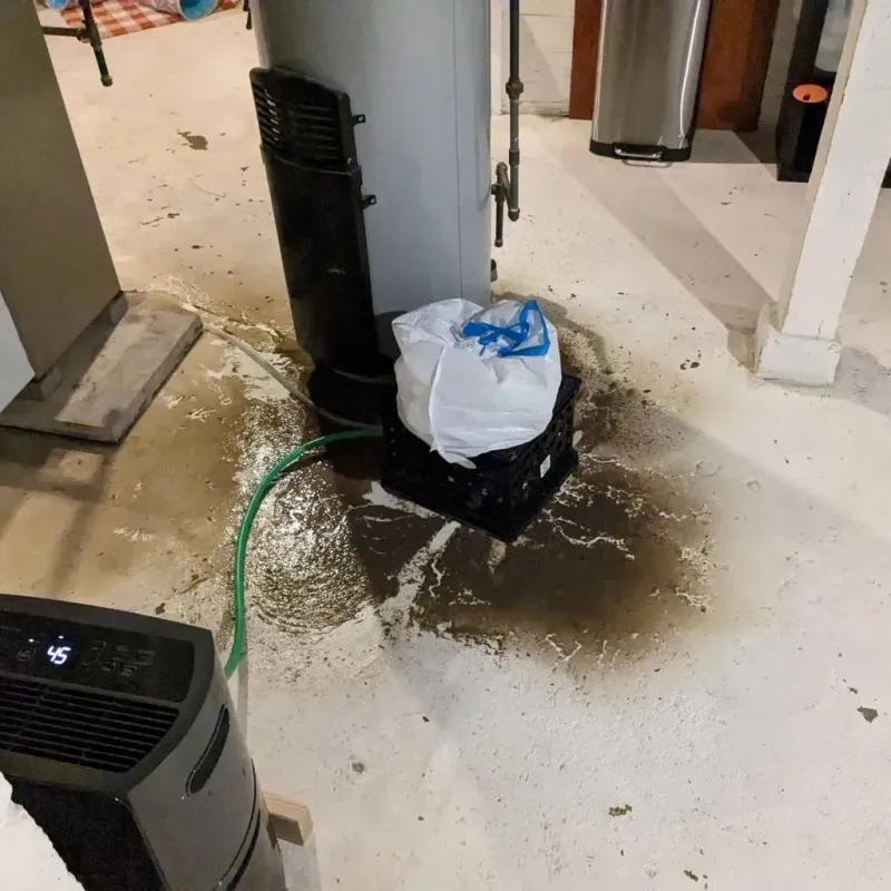 Sewage Backup Cleanup Service in Sewanee, TN